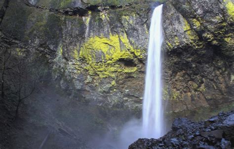 Hike To Elowah Falls And Upper Mccord Creek Falls — Pines And Vines