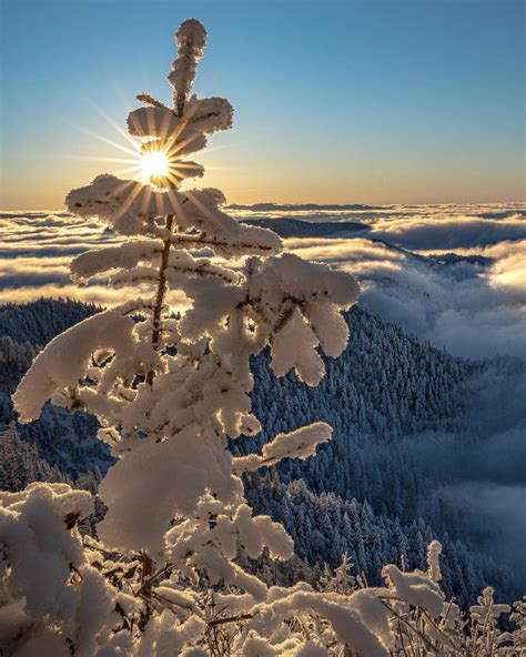 Adam Gravett On Instagram “good Morning Sunrise From A Snow Covered Mt