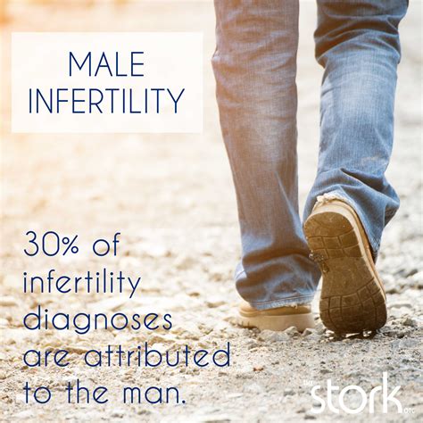 Male Infertility 101 The Stork Otc Home Conception Aid
