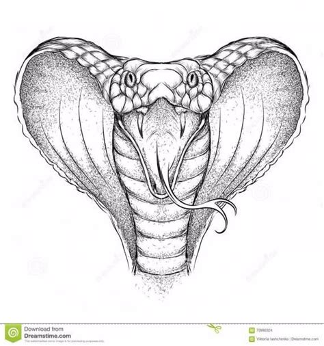 How To Draw A King Cobra Snake Easy Fitzgerald Dearthe