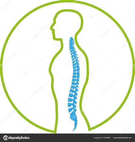 Peron Spine Orthopedics Physiotherapy Logo Icon Stock Vector Image By