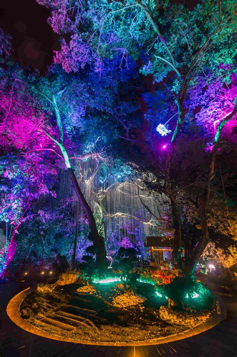 Está à procura de the light collection penang? Enter the surreal magical world of Pandora; Penang Avatar ...