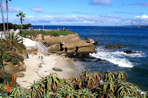 10 Best Beaches In San Diego Which San Diego Beach Is Right For You