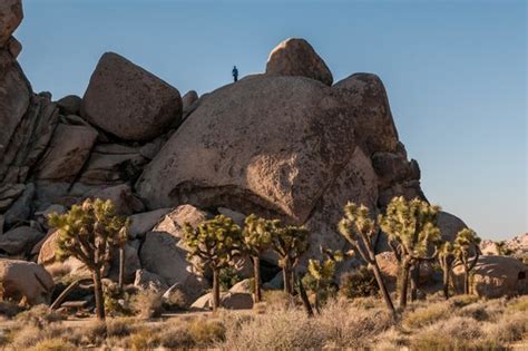 Cap Rock Joshua Tree National Park 2020 All You Need To Know Before
