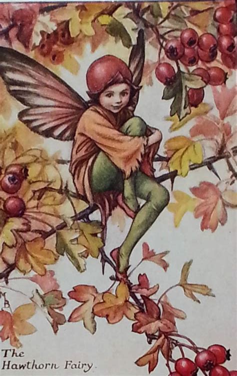 Flower Fairy Hawthorn Mounted Original Vintage Print 1930s Etsy Uk