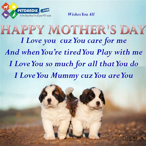 Happy Mothers Day To Every Lady Who Is A Mother To A Dog Each One Of
