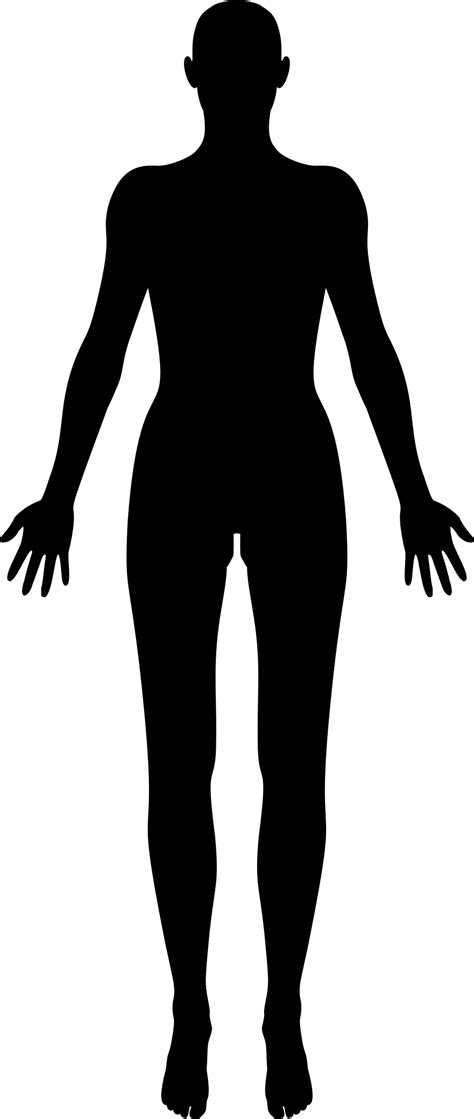 Human body, the physical substance of the human organism. Body Png & Free Body.png Transparent Images #116 - PNGio
