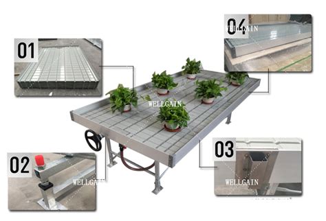 Ebb And Flow Hydroponics Table Company