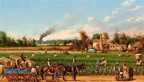 Cotton Plantation On The Mississippi Painting By William Aiken Walker