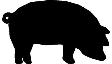 White Show Pig Silhouette Download The Silhouette In Eps  Pdf
