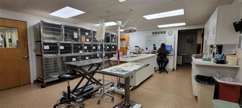 VCA Kirkwood Animal Hospital in Newark, DE (Veterinary Services) - 302