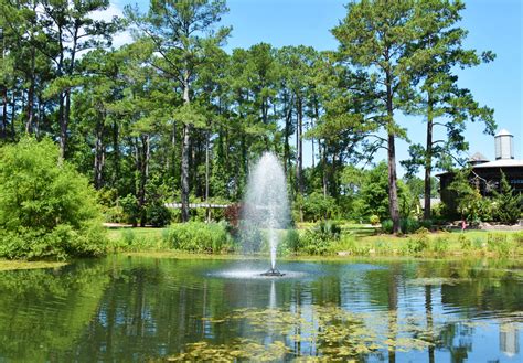 14 Best Botanical Gardens In North Carolina You Must Visit Southern