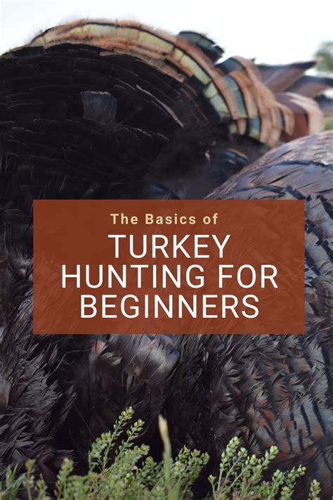 Turkey Hunting 101 Essential Tips For Beginners