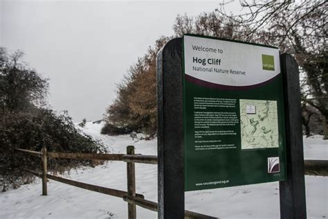 Sign For Hog Cliff National Nature © Becky Williamson Cc By Sa20