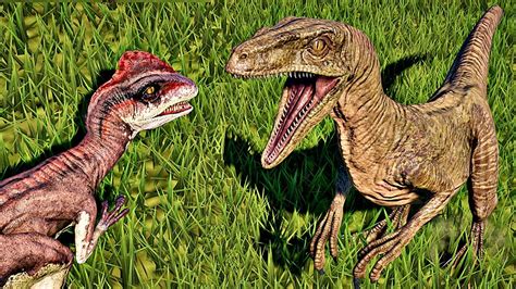 Velociraptor Vs Deinonychus Jurassic World Evolution Raptor Jurassic Park Dinosaurs