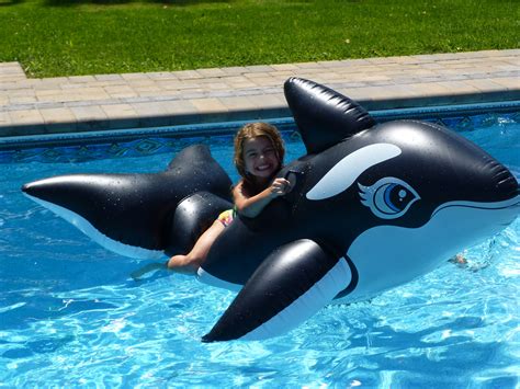 5 00 inflatable whale from walmart inflatable swimming pool inflatable pool outdoor inflatables