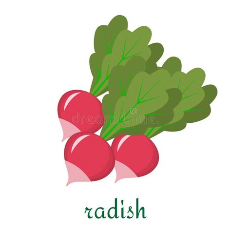 Radish Icon In Flat Style Vector Illustration Stock Vector