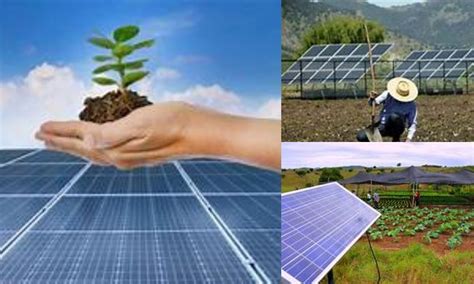 Energia Solar na Agricultura Benefícios e Desafios