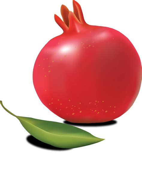 Pomegranate Png Transparent Image Download Size 908x1113px