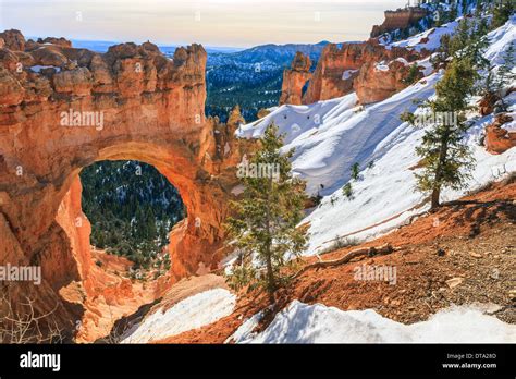 Winter In Bryce Canyon National Park Utah Usa Stock Photo Alamy