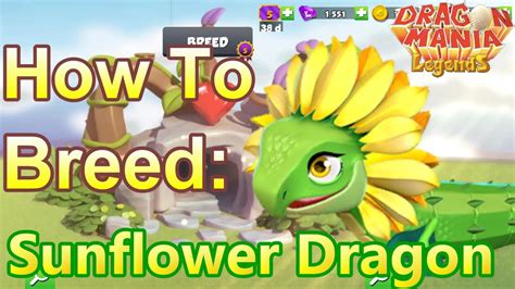 Dragon Mania Legends Breeding Guide Sunflower Hoolivault