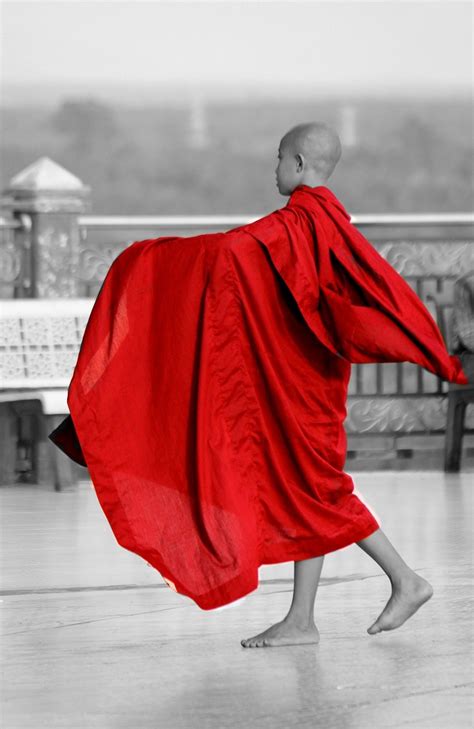 Monk Burma Myanmar Free Photo On Pixabay