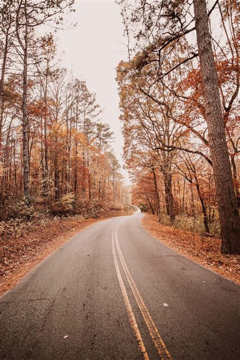 How To Get Perfect Fall Vibes In Your Photos Every Time A Color Story