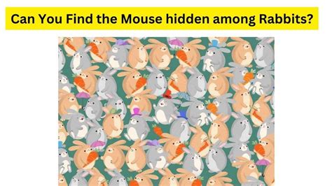 Viral Brain Teaser Can You Find The Mouse Hidden Among Bunnies Within