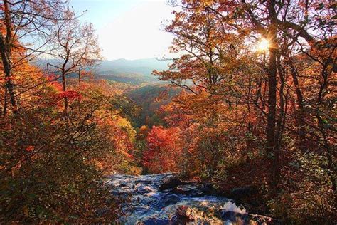 Autumn Mountain Stream In Blue Ridge Georgia Blue Ridge Georgia