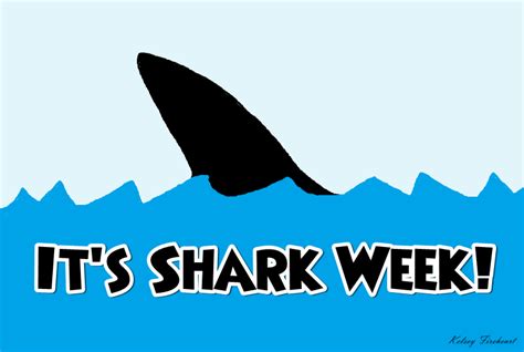 Stars Of The Spiral Shark Week