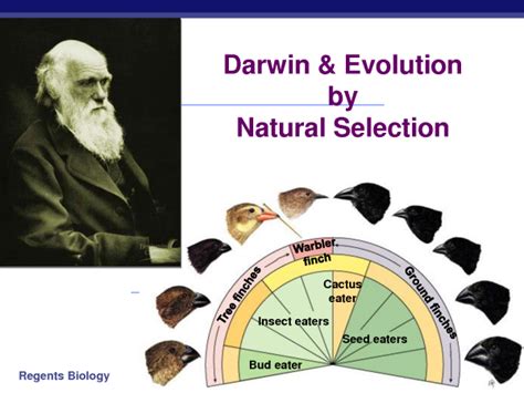 Darwin's theory of evolution is one of the greatest of all time. 10 Scientific Law Every Person Should Know | REALITYPOD ...