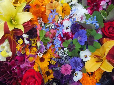 Edible flowers ottawa where to buy. Edible flowers: Spicy Flower Canapés