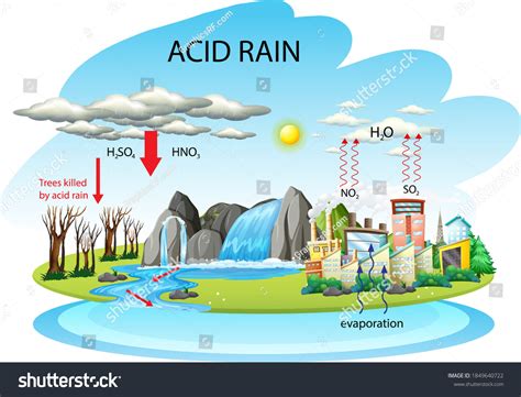 Diagram Showing Acid Rain Pathway On Stock Vector Royalty Free
