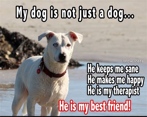 My Dog Is Not Just A Dog He Is My Best Friend Dog Best Friend Quotes
