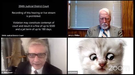 This is a lighthearted example of what can go wrong. 'I'm Not a Cat,' Says Lawyer Having Zoom Filter ...