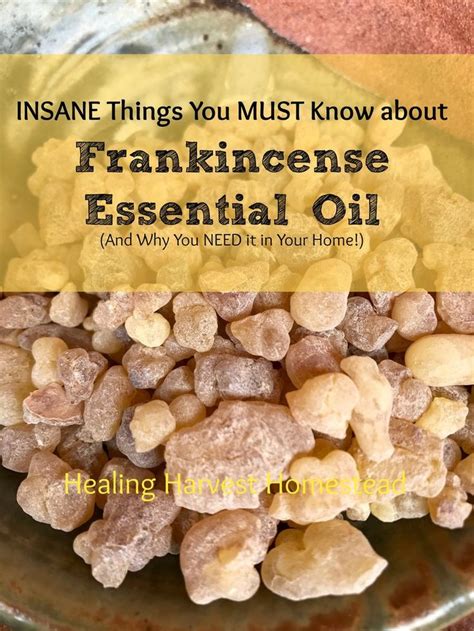 The Complete Guide To Using Frankincense Essential Oil Benefits Uses