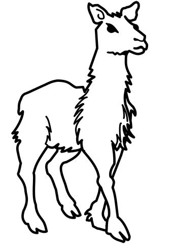 Like all free printable coloring pages on the artisan life, these llama coloring sheets are available for personal and classroom use. 301 Moved Permanently