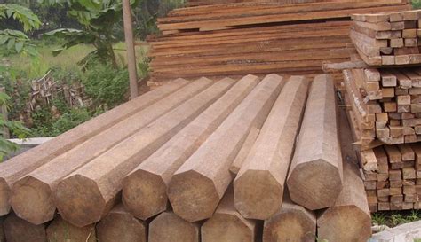 Untuk kayu balok bisa dihitung per batang, untuk papan bisa dihitung berdasarkan panjang papan. Daftar Harga Kayu Jati Per Batang Berbagai Jenis | Harga ...