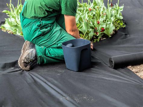 Ground cover plants are great for stopping weeds, filling gaps in your borders ground cover plants can dramatically change the way your garden looks and feels to give your garden a polished and. Weed Control - How Ground Covers Can Help - Home ...