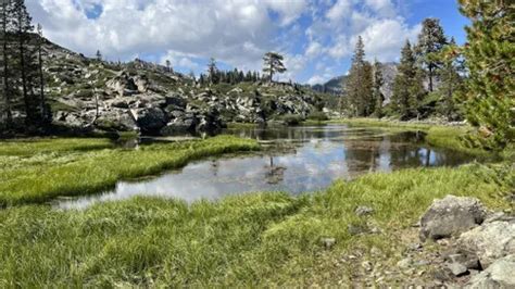 Best 10 Hiking Trails In Plumas National Forest Alltrails