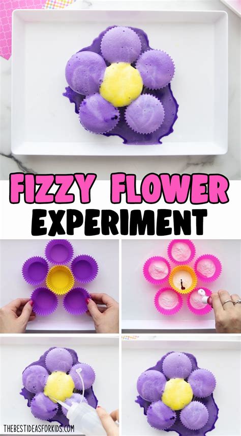 Fizzy Flower Experiment The Best Ideas For Kids In 2021 Kids