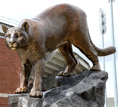 Cougar — cougar mascot for the college of alameda commonly goes by coolie. Mascot Washington State University Logo
