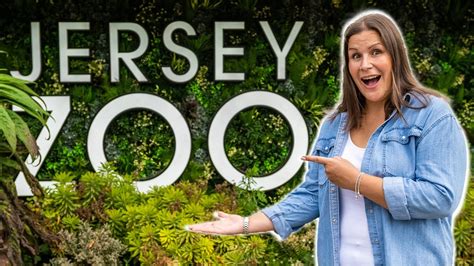 Is Jersey Zoo The Best Attraction In Jersey Youtube