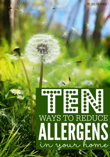 Ten Ways To Reduce Allergens In Your Home