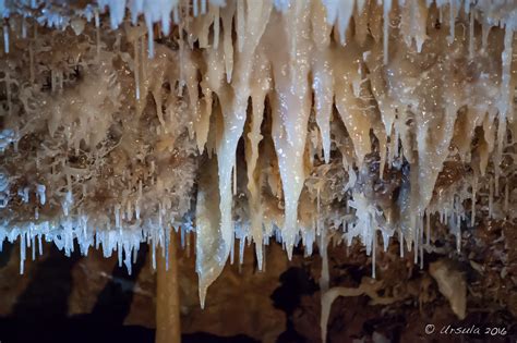 Jenolan Caves Nsw Australia Ursulas Weekly Wanders