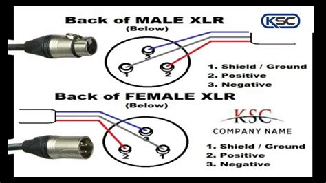 Female Xlr Wiring Diagram