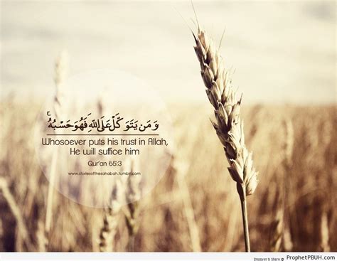 Wallpapers Islamic Quotes Wallpaper Cave Riset