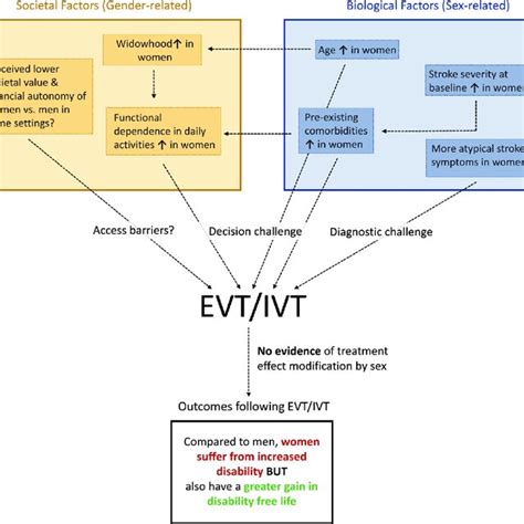 Sex And Gender Related Factors In Endovascular Stroke Treatment And