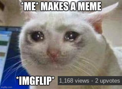 Sad Cat Memes Imgflip