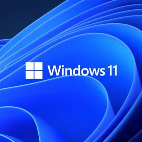 Microsoft Windows 11 Pro 64 Bits Oem Dvd